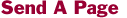 Sap.gif (718 bytes)